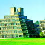 The University