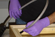 Conservation at the Sainsbury Centre