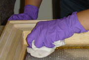 Conservation at the Sainsbury Centre