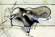 UEA 766 - An enraged elephant charging its tormentors in a palace courtyard, India: Rajasthan