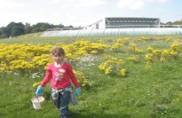 Summer school for children aged 8–12