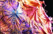 SOLD OUT - Creative Studio - Shibori: Textile Landscapes - 28 and 29 April