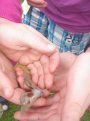 Art and Nature Summer School 